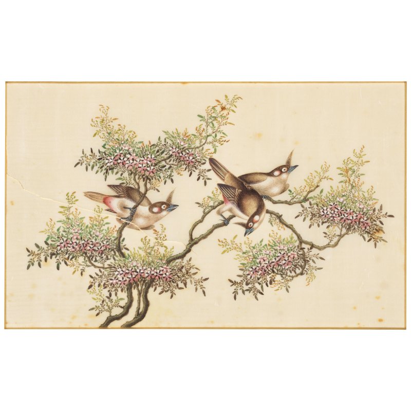中國畫家 十九世紀 鳥圖一組八幅 水粉通草畫 | CHINESE ARTIST (19TH CENTURY) - 图4