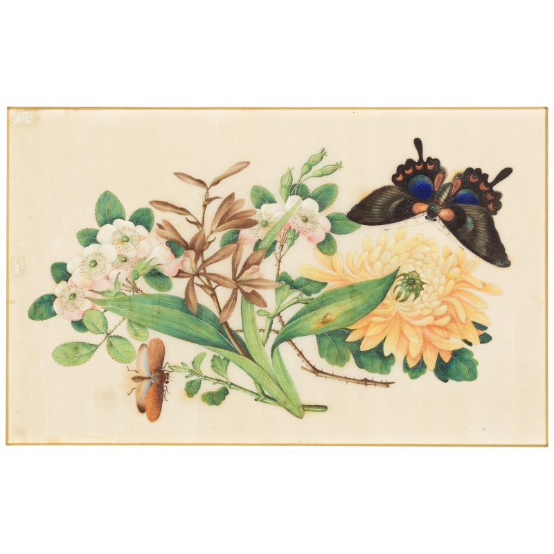中國畫家 十九世紀 花卉蝴蝶圖一組十幅 水粉通草畫 | CHINESE ARTIST (19TH CENTURY) - 图2