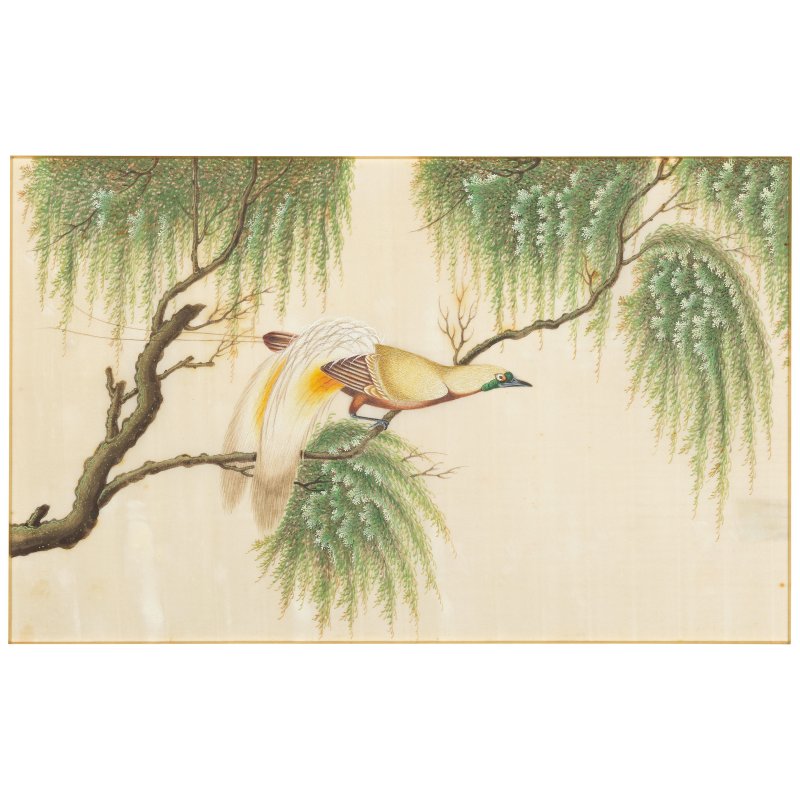 中國畫家 十九世紀 鳥圖一組八幅 水粉通草畫 | CHINESE ARTIST (19TH CENTURY) - 图5
