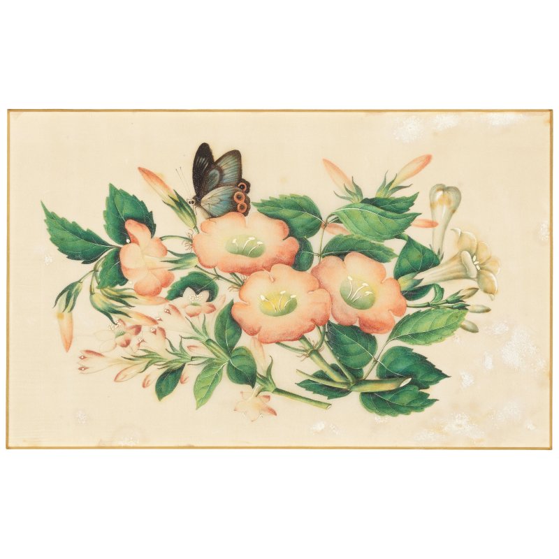 中國畫家 十九世紀 花卉蝴蝶圖一組十幅 水粉通草畫 | CHINESE ARTIST (19TH CENTURY) - 图3