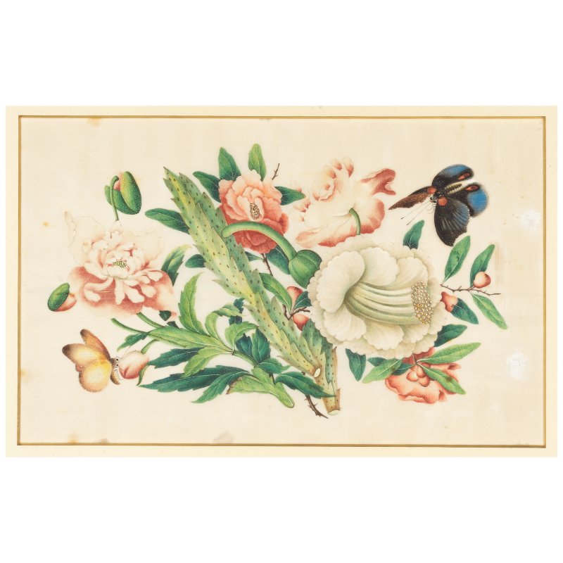 中國畫家 十九世紀 花卉蝴蝶圖一組十幅 水粉通草畫 | CHINESE ARTIST (19TH CENTURY) - 图4