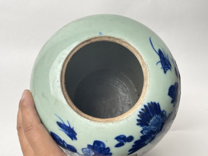 清 青花富贵白头纹罐 - 图5