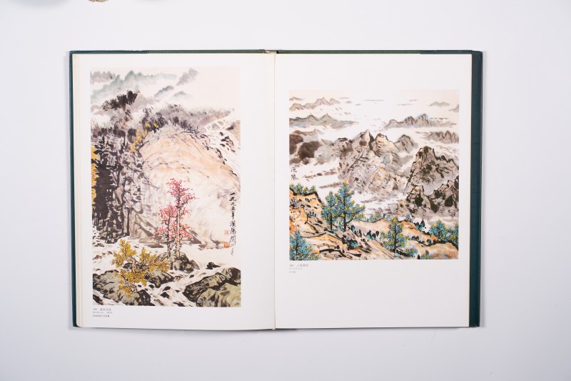 《关山月画集》 8开精装画册 - 图7