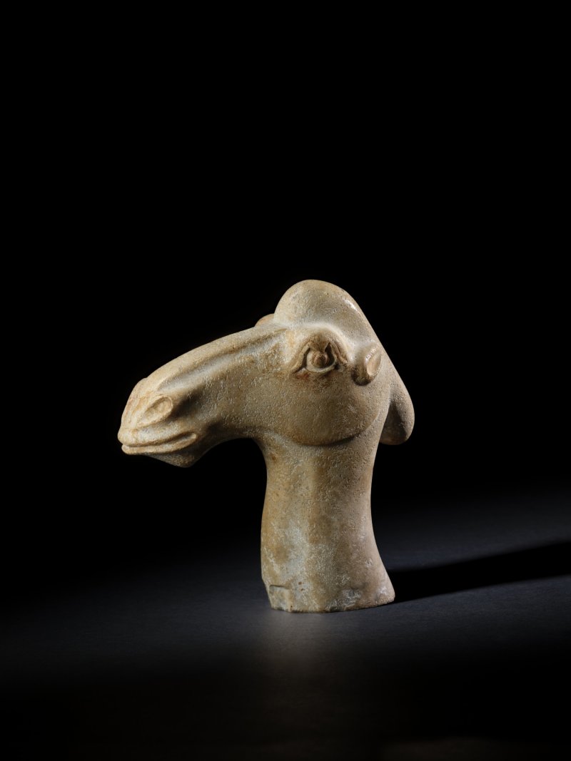 A rare calcified jade head of a camel, Tang dynasty or earlier | 唐或以前　玉駱駝首 - 图1