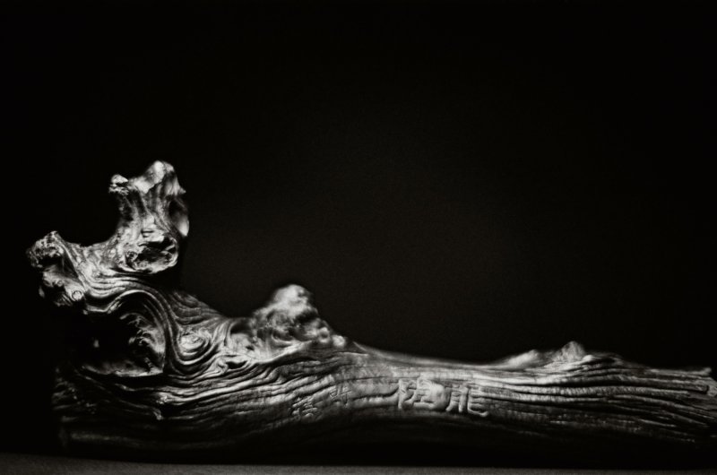An extremely rare inscribed 'shanmu' 'dragon' raft, inscription by Du Meigen, Qing dynasty, Guangxu period | 清光緒　杉木刻詩龍槎　《梅根》款 - 图3