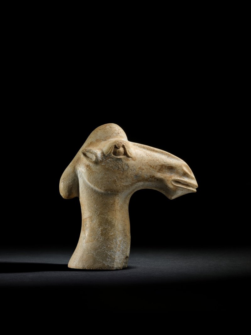 A rare calcified jade head of a camel, Tang dynasty or earlier | 唐或以前　玉駱駝首 - 图2
