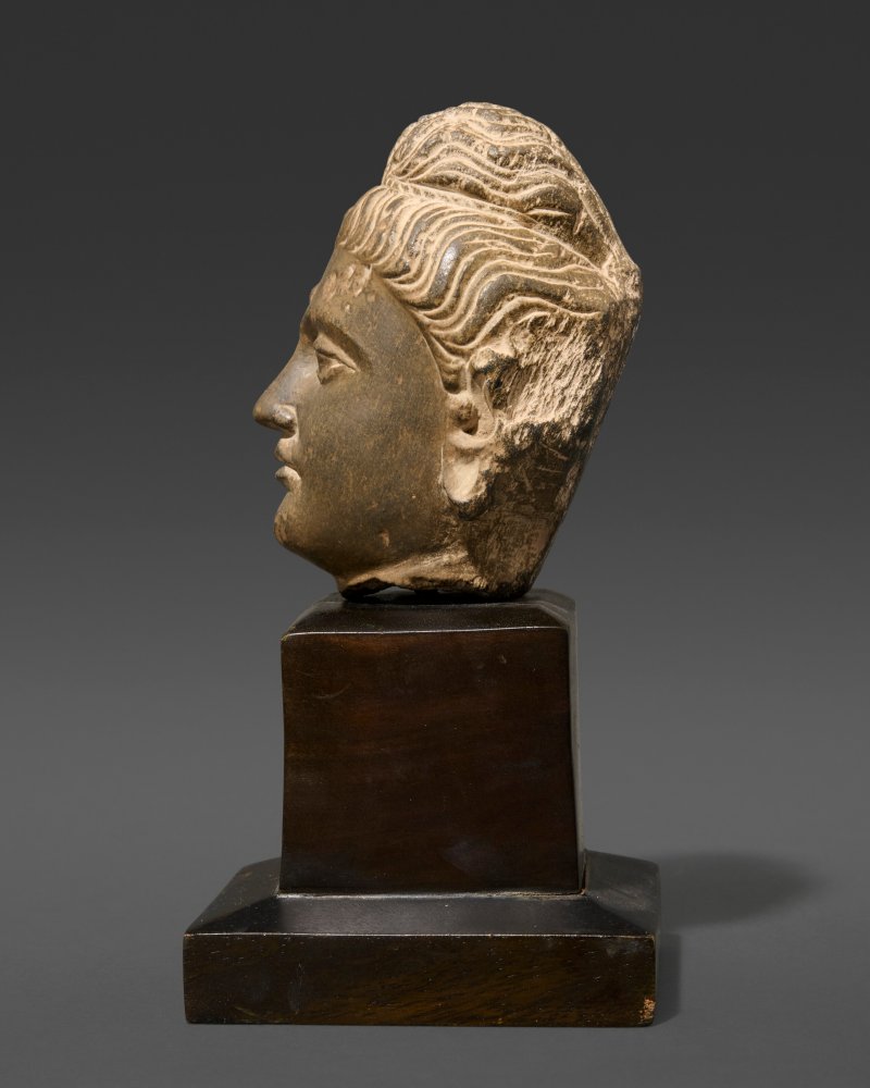 A GREY SCHIST HEAD OF BUDDHA  GANDHARA, 2ND-4TH CENTURY - 图5