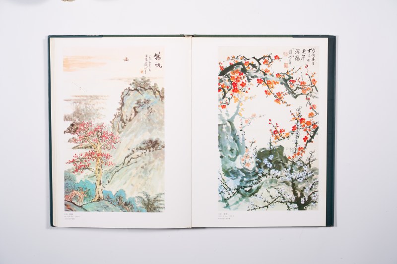 《关山月画集》 8开精装画册 - 图11