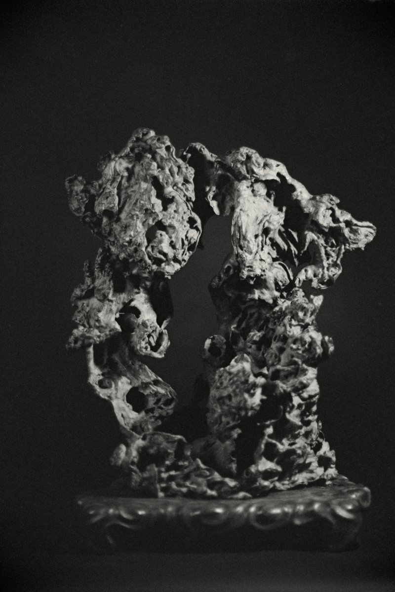 A large and rare Yingmu ‘dreamroot’ sculpture, Ming dynasty | 明　隨形大木供 - 图3