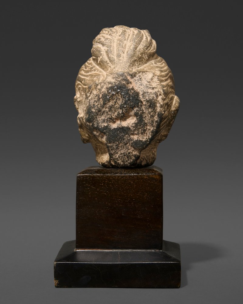 A GREY SCHIST HEAD OF BUDDHA  GANDHARA, 2ND-4TH CENTURY - 图6