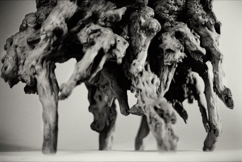 A rootwood stand, Qing dynasty | 清　杜鵑根几 - 图2