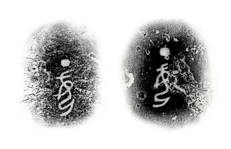 The Ding Mu Zhi, An extremely rare imperially documented archaic bronze royal ritual wine vessel and cover, Late Shang – Early Western Zhou dynasty | 商末周初 清乾隆御藏丁母觶 - 图6