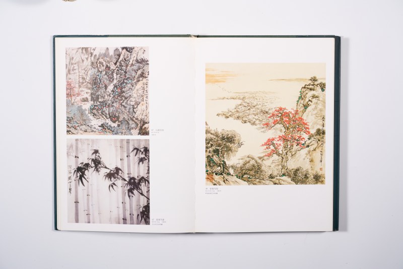《关山月画集》 8开精装画册 - 图4