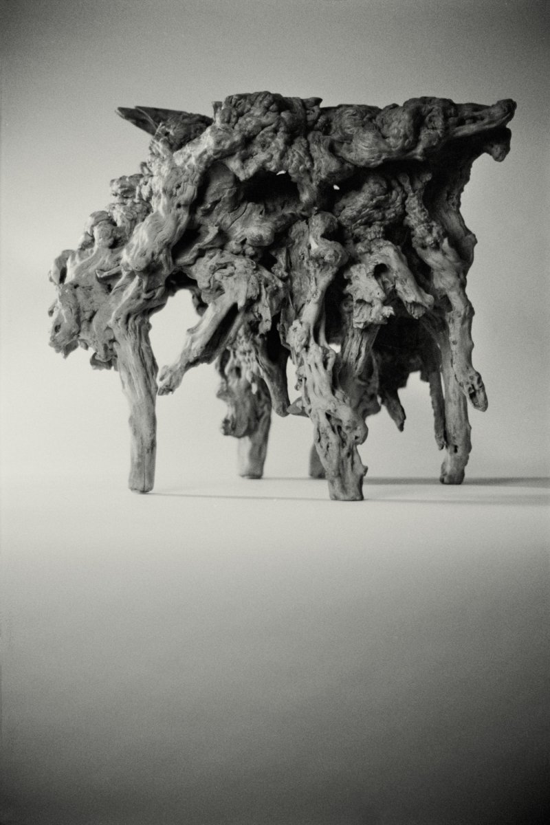 A rootwood stand, Qing dynasty | 清　杜鵑根几 - 图4