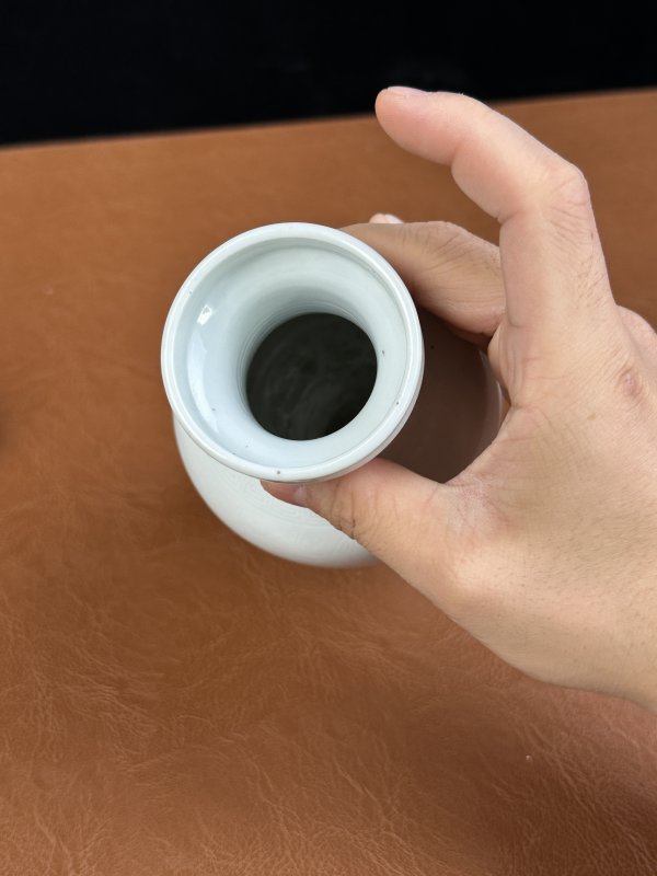 清康熙 白釉暗刻花卉盘口瓶 - 图12