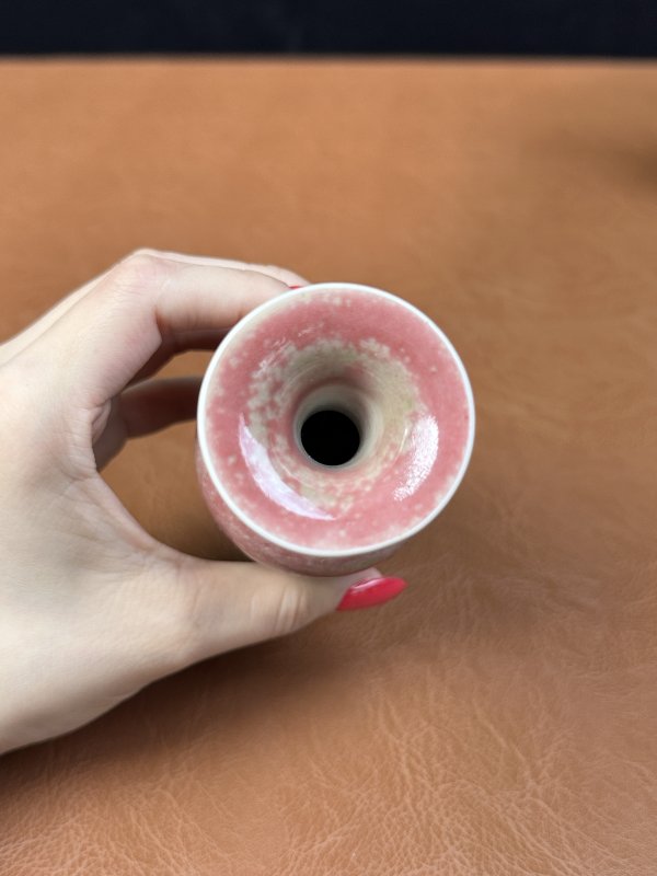 清晚期 豇豆红釉八大码一组七件 - 图32