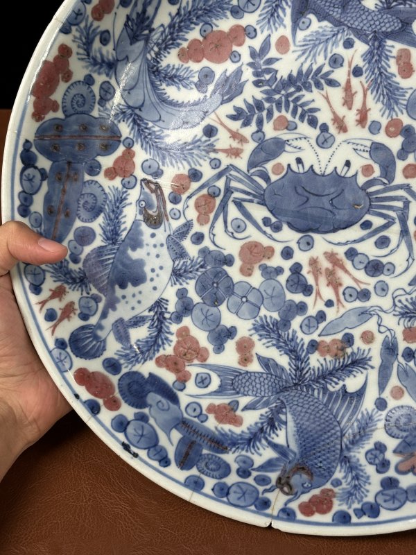 清康熙 青花釉里红鱼藻纹大盘 - 图9