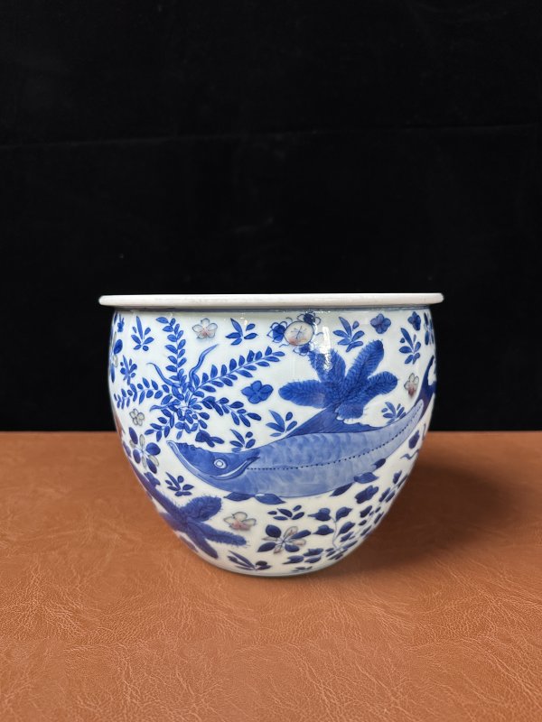 清康熙 青花釉里红鱼藻纹卷缸 - 图4