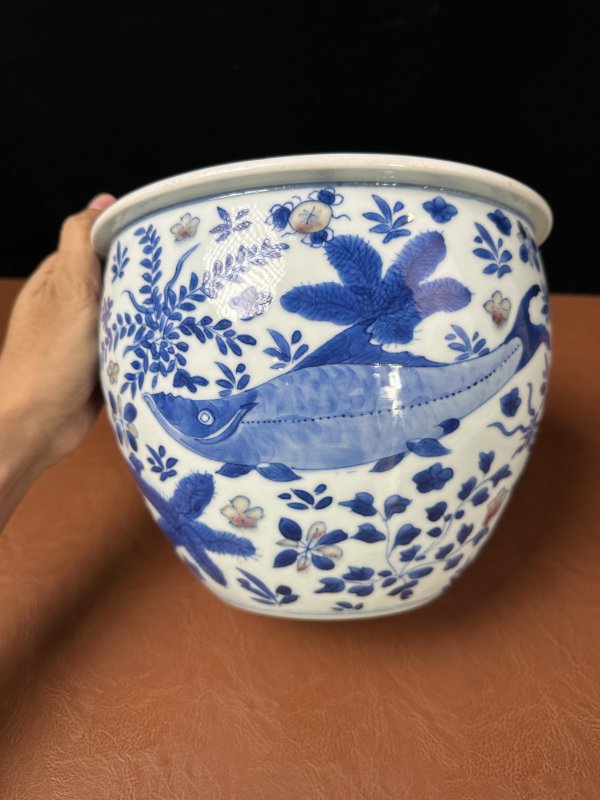清康熙 青花釉里红鱼藻纹卷缸 - 图8