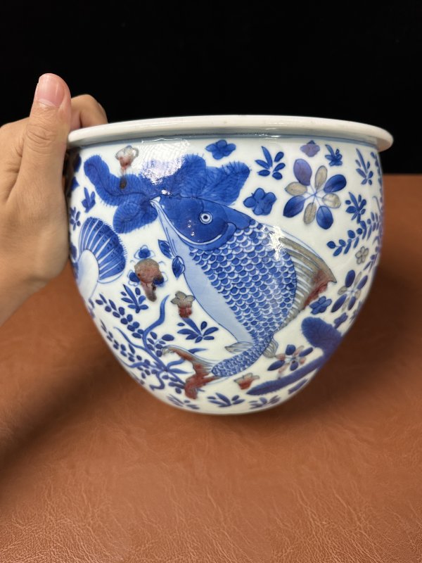 清康熙 青花釉里红鱼藻纹卷缸 - 图9