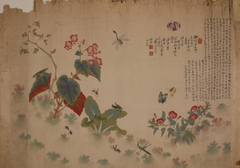 刘喜奎 蝶恋花 - 图3