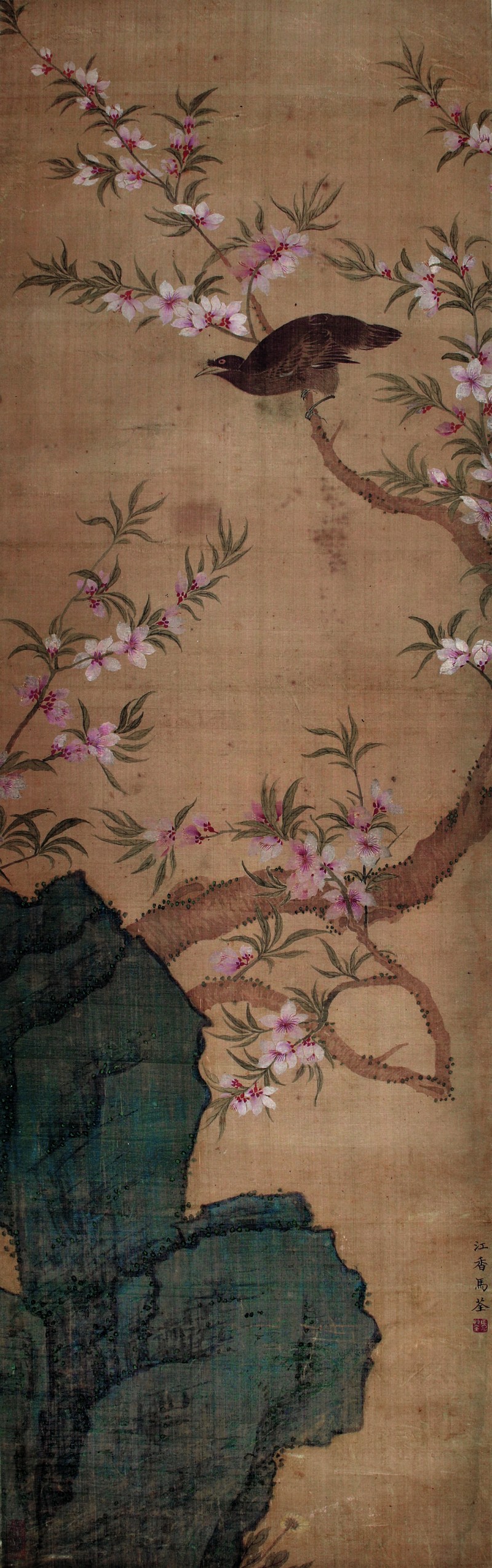 马荃 桃花八哥图