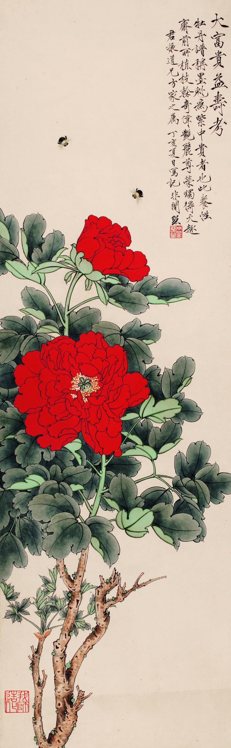 于非闇 花卉