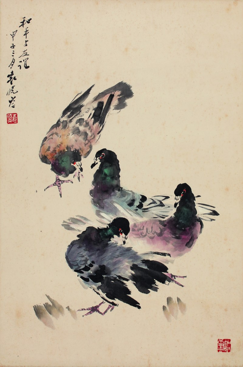 袁晓岑 和平鸽