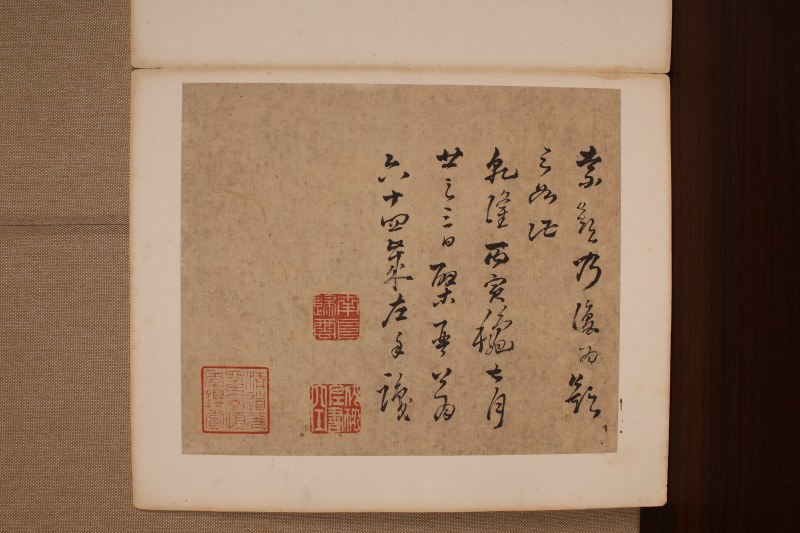 高凤翰 与长元侄花卉册并信札 - 图5