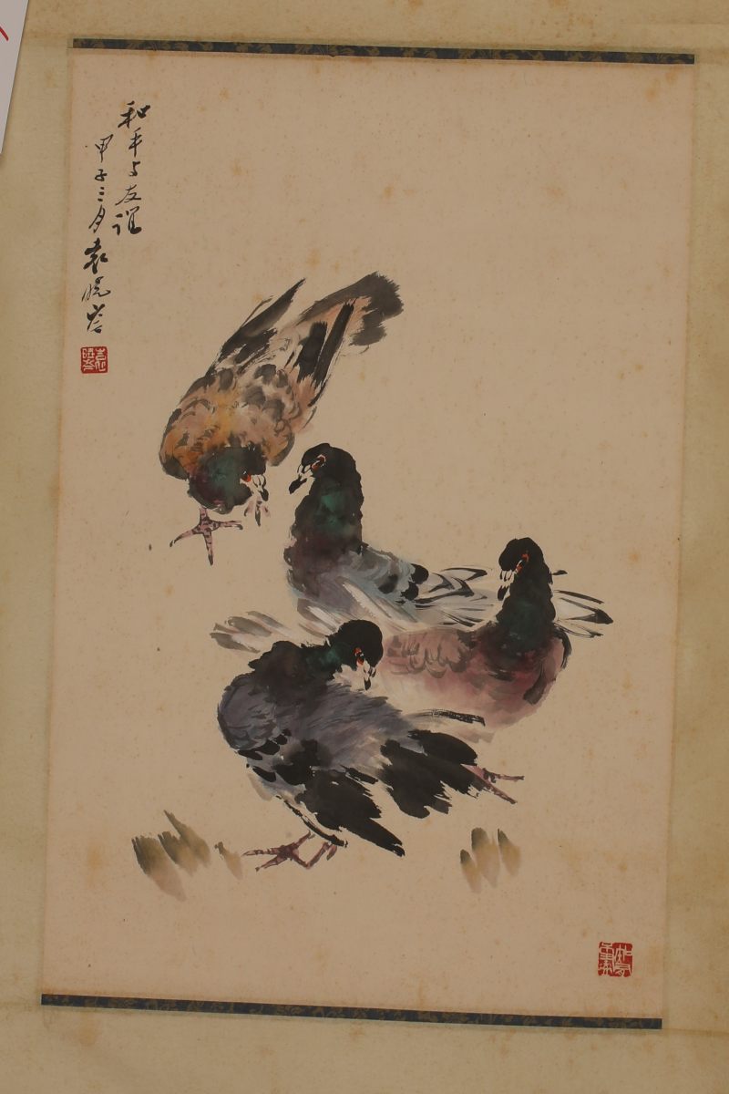 袁晓岑 和平鸽 - 图3
