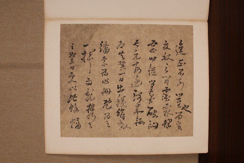 高凤翰 与长元侄花卉册并信札 - 图3