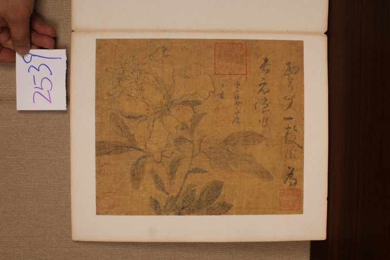 高凤翰 与长元侄花卉册并信札 - 图8