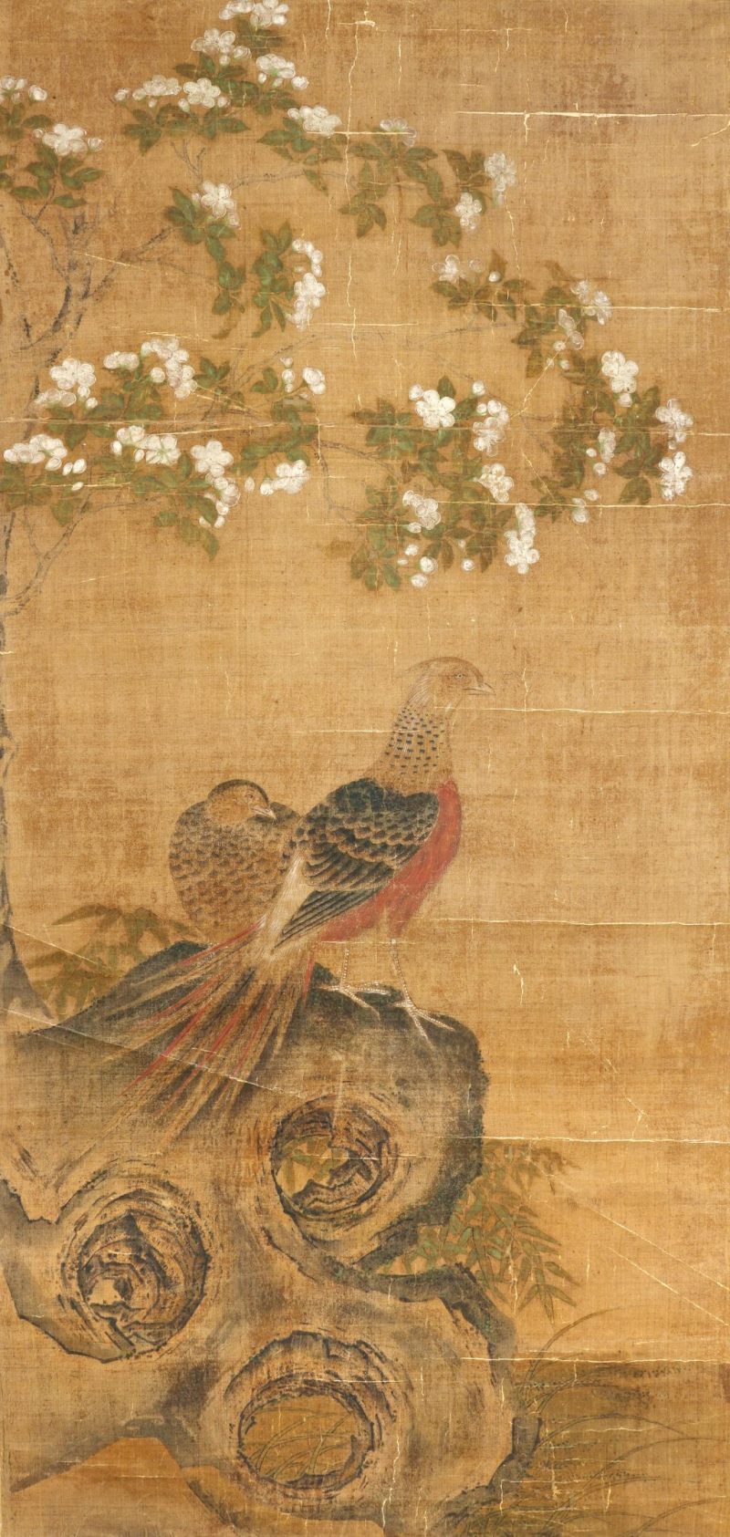    明代 花鳥圖