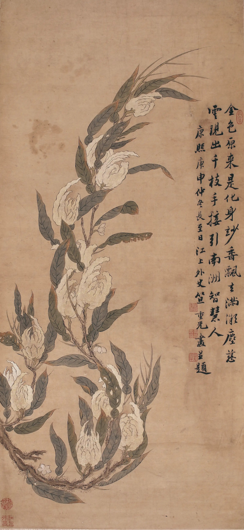 笪重光 佛手 - 图1