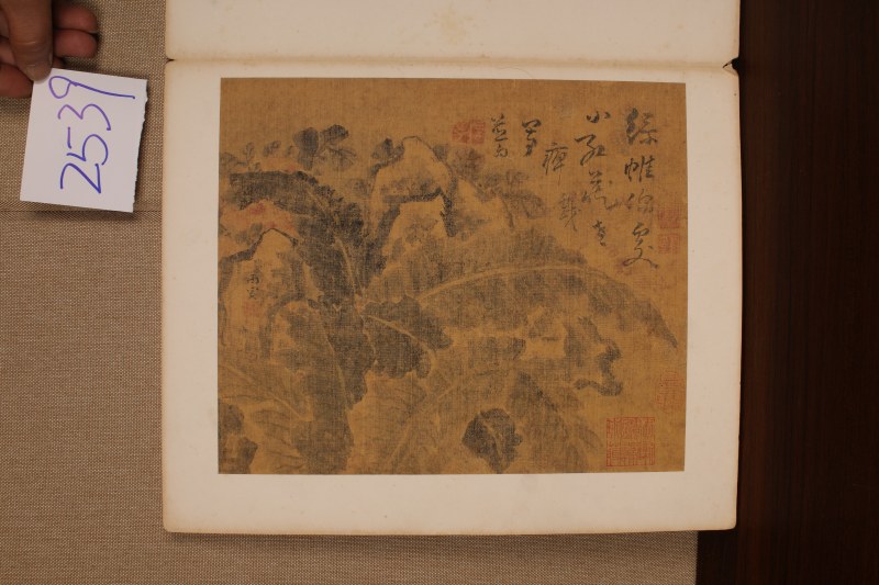 高凤翰 与长元侄花卉册并信札 - 图9