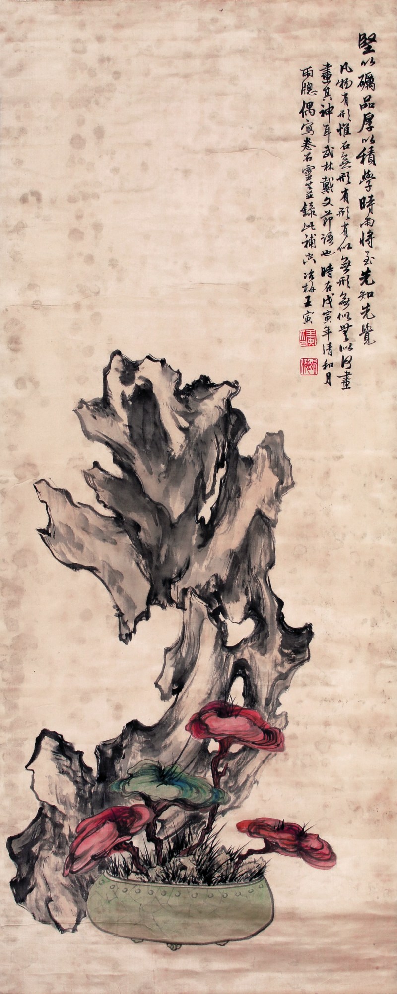 王冶梅 卷石灵芝