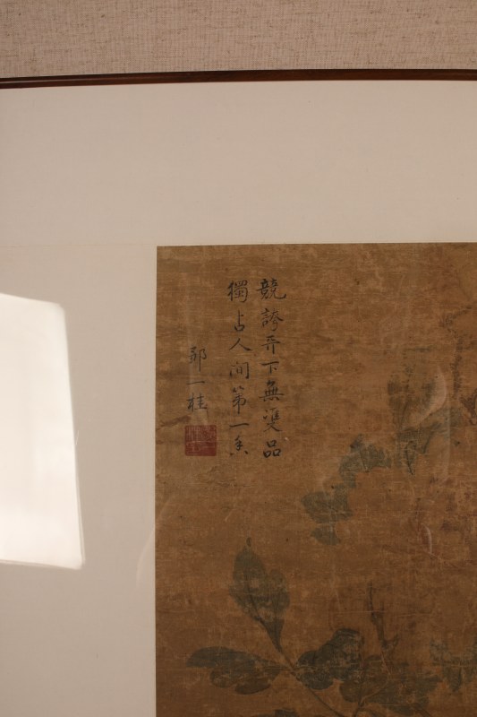 邹一桂花卉 - 图4