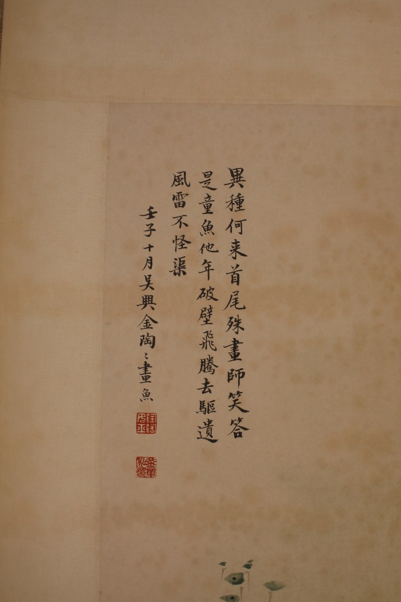 金章 金鱼 - 图3