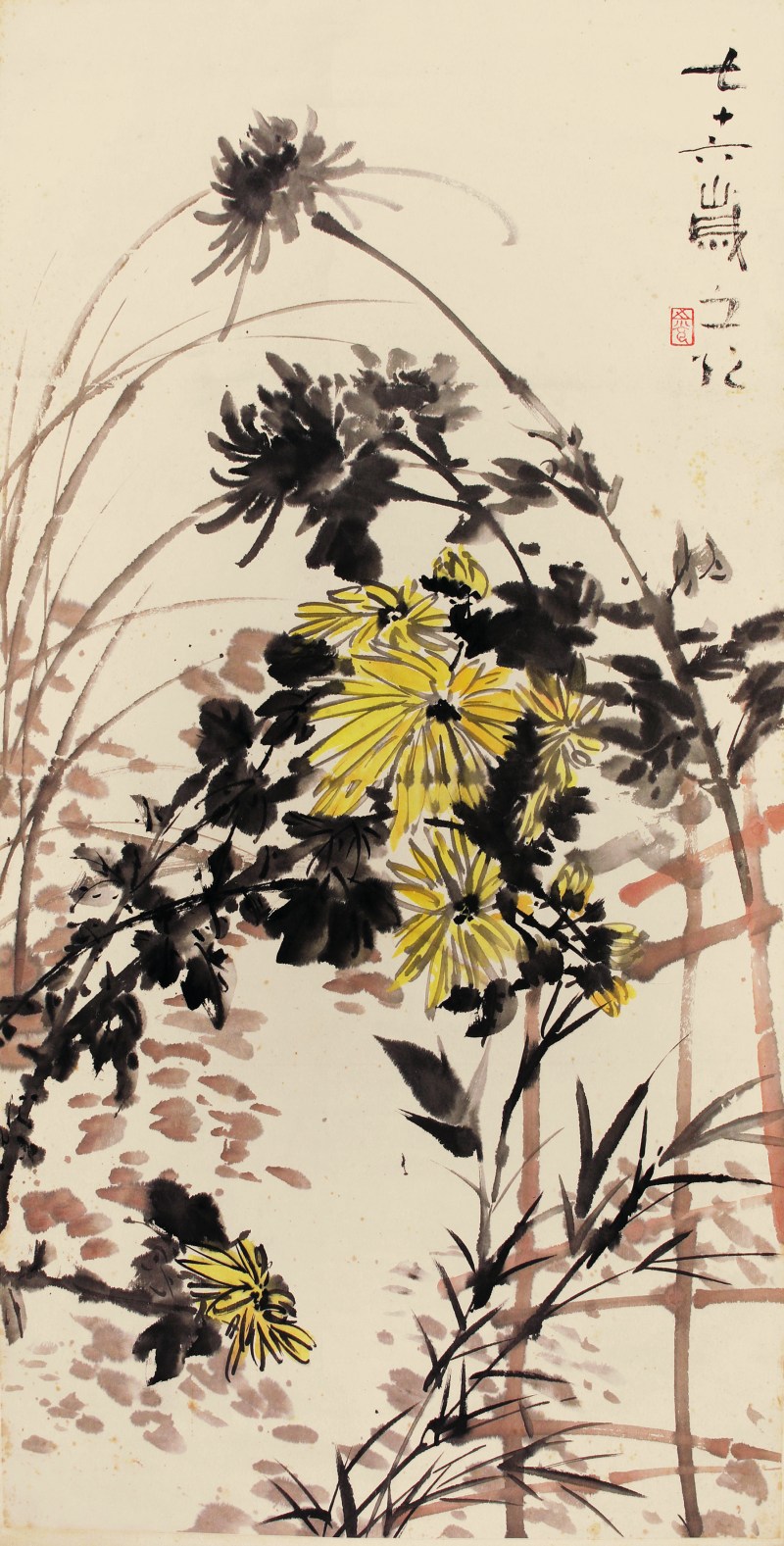 谢之光 菊花