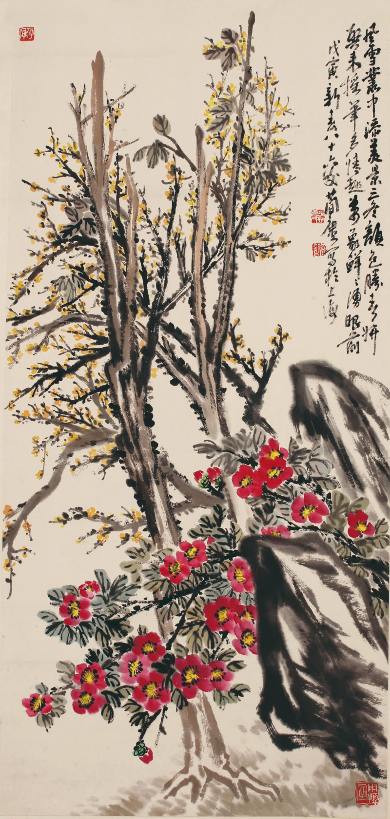 曹简楼 洞石花卉