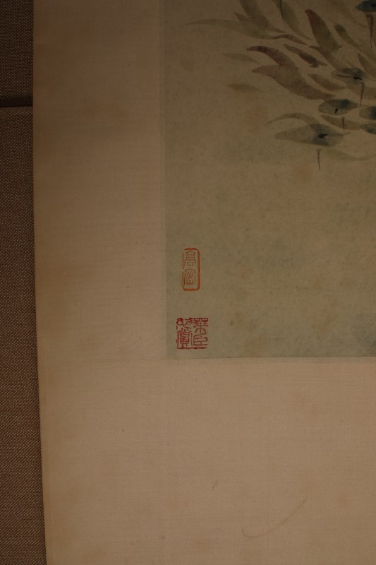 金章 金鱼 - 图4