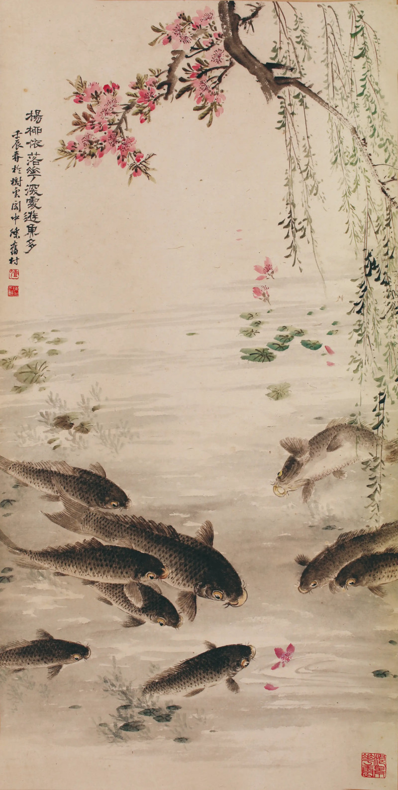陈旧村 桃花鲤鱼 - 图1