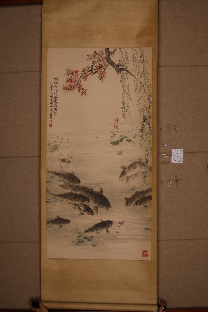 陈旧村 桃花鲤鱼 - 图2