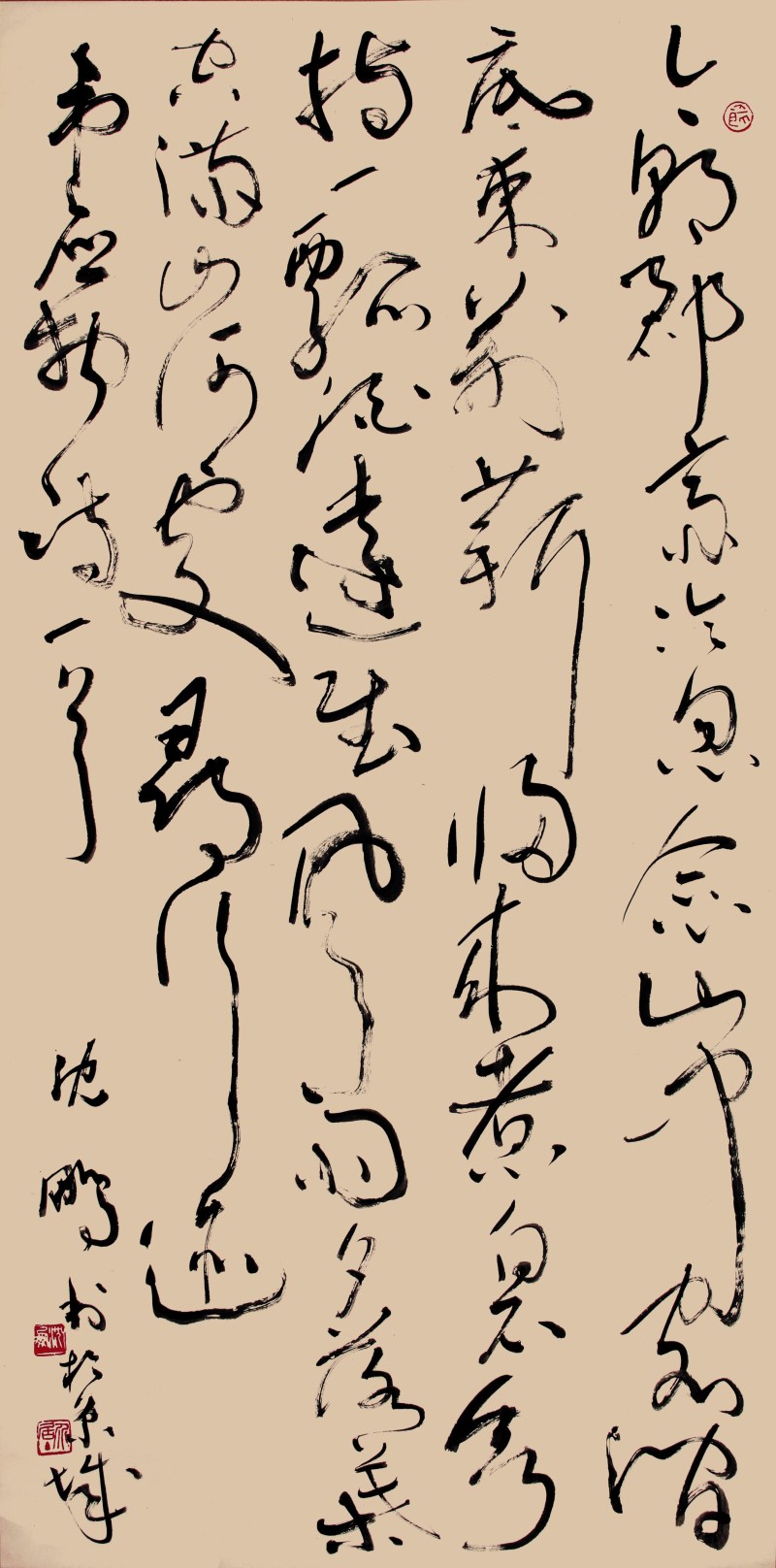 沈鹏 草书中堂