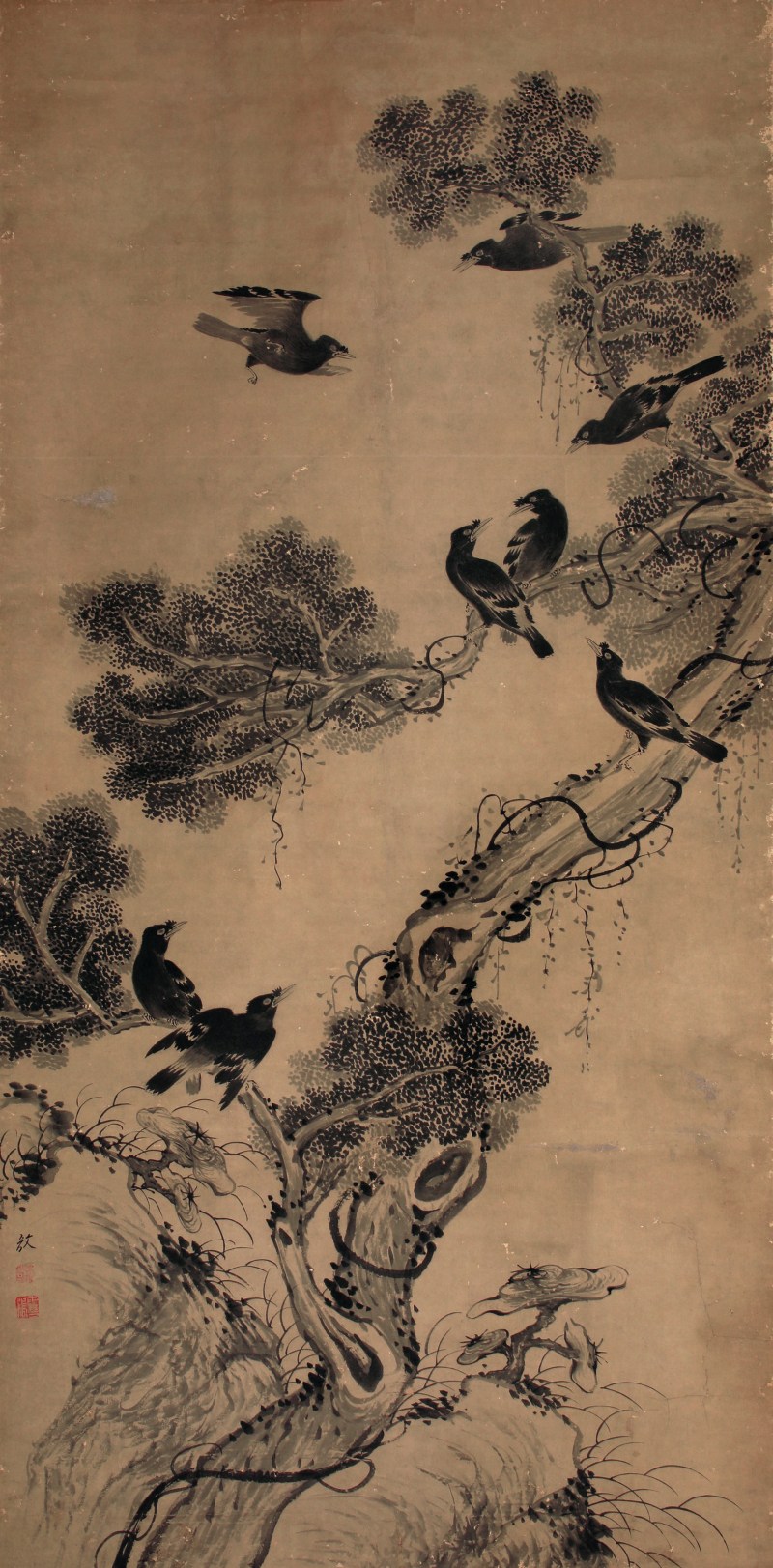 张敔 花鸟