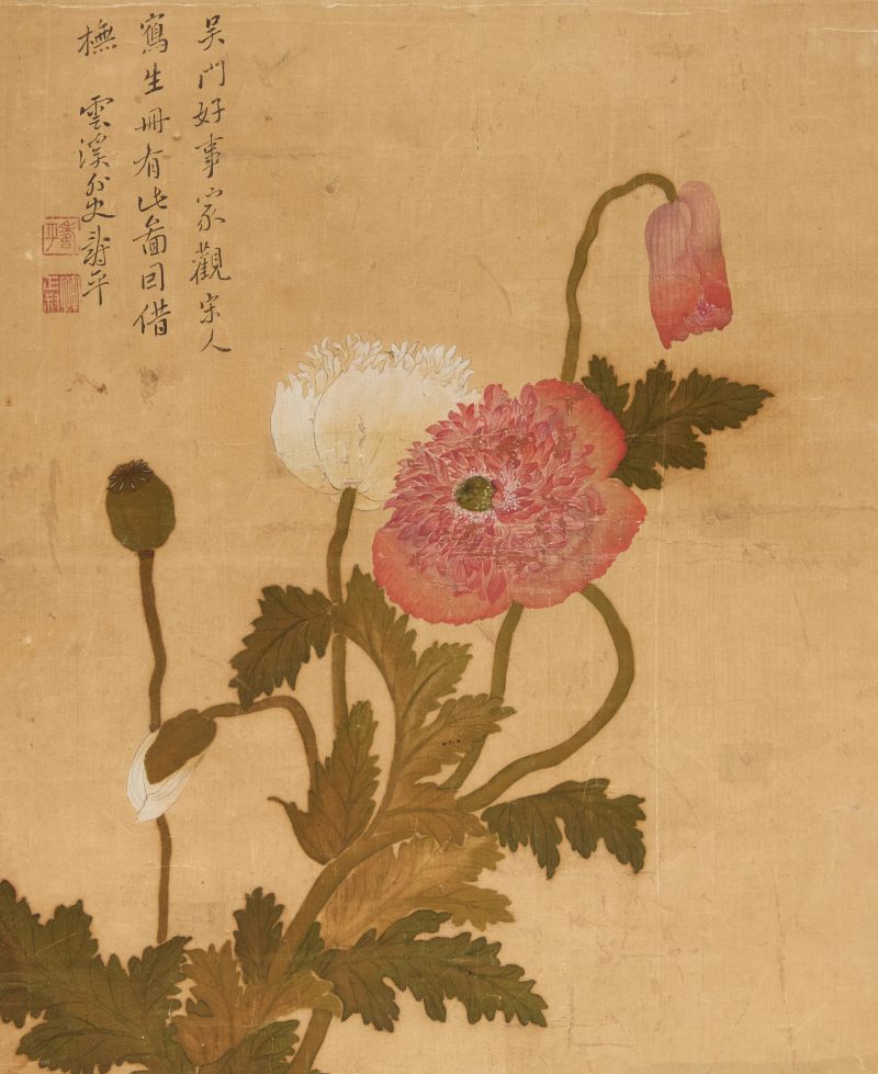 清十八/十九世紀 花卉圖，設色絹本，「雲溪外史壽平」寄托款 | Chinese school, 18th/19th century