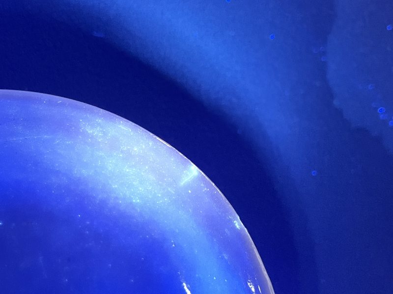 清 粉彩花卉纹盖碗 - 图8