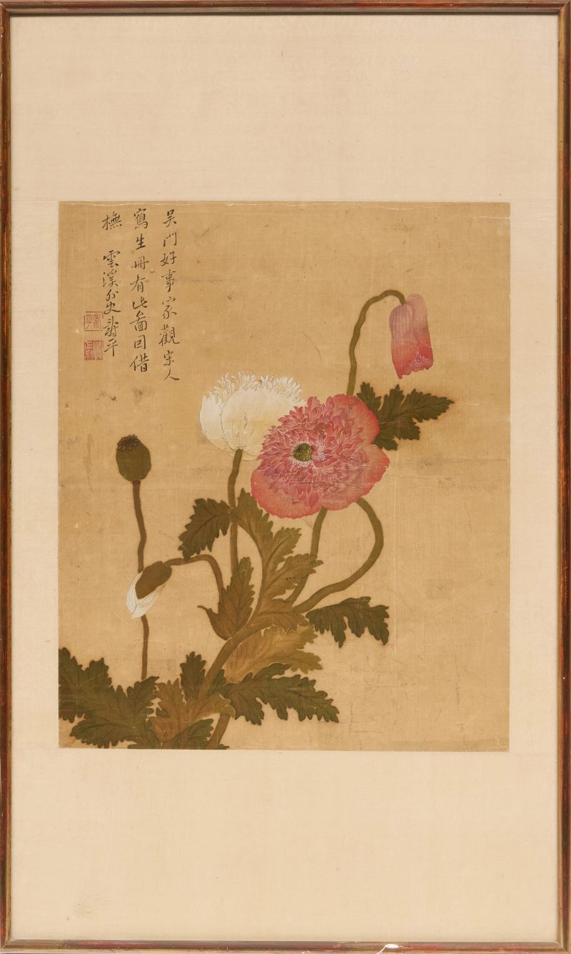 清十八/十九世紀 花卉圖，設色絹本，「雲溪外史壽平」寄托款 | Chinese school, 18th/19th century - 图2