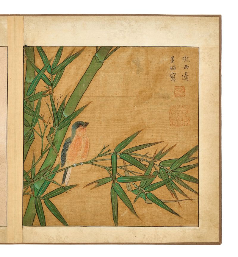 邊景昭（傳） 花鳥圖 | After Bian Jingzhao (active 1426–1435) — An album of flowers and birds - 图4