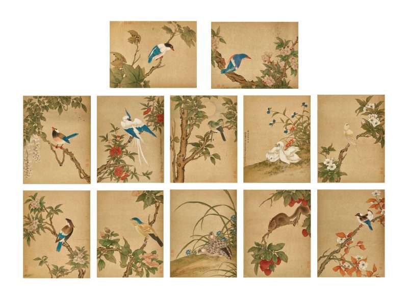 蔣廷錫款 花鳥冊頁 | After Jiang Tingxi — An album of flowers and birds